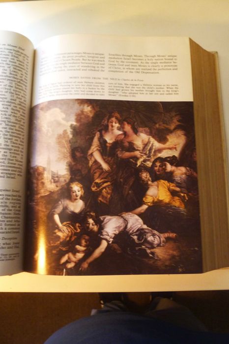 Livro em Inglês The Holly Bible