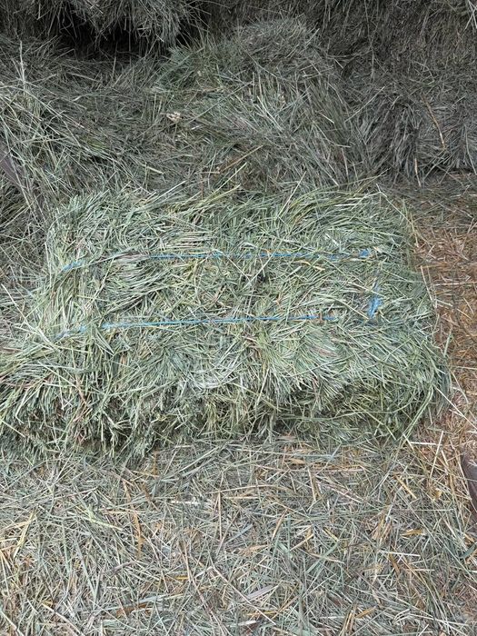 Продам сено в тюках