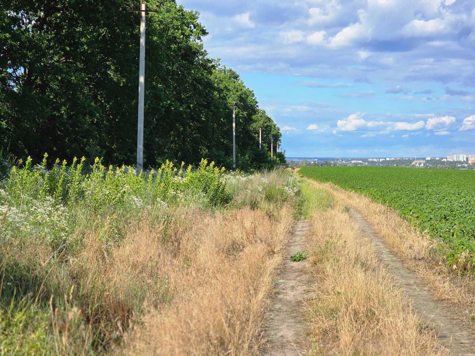 Фото ділянки