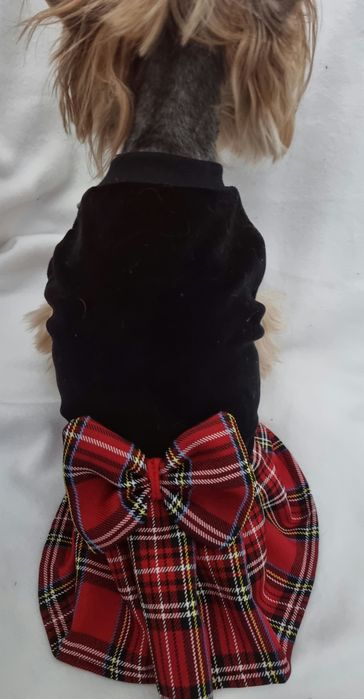 Sukienka ubranko dla papilon york shihtzu szyte na miarę