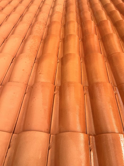Servico pintura, limpeza de telhados e muros