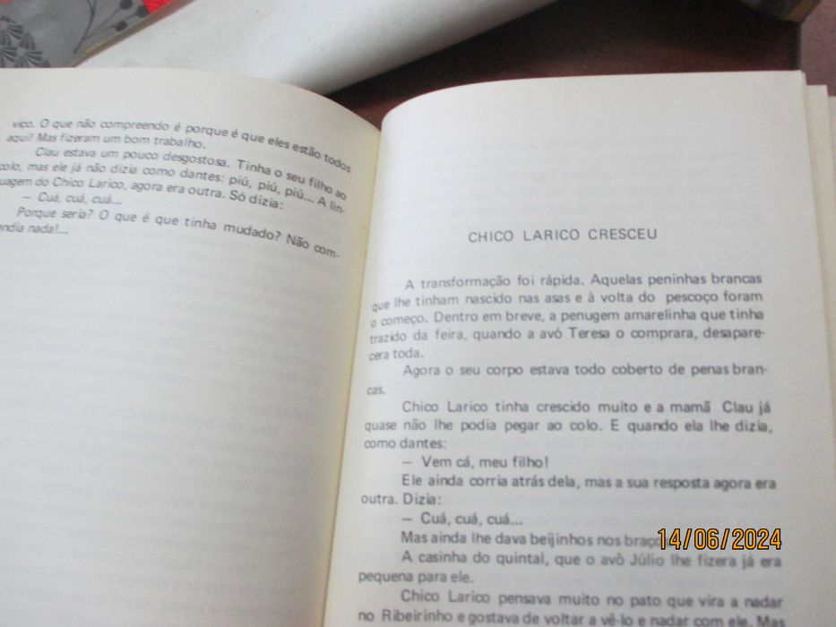 Livro antigo para crianças - Chico Larico