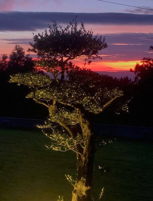 Moradia Terrea T3 para venda