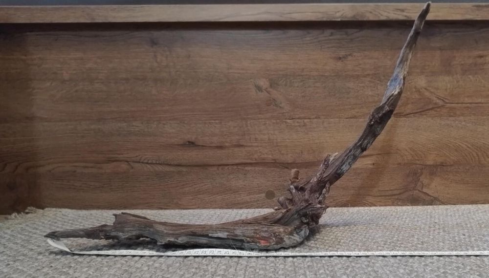 Duży korzeń 65 cm terrarium akwarium
