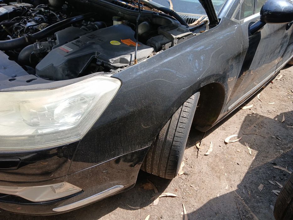 Guarda-lamas esquerdo CITROËN C5 III Break (RW_)