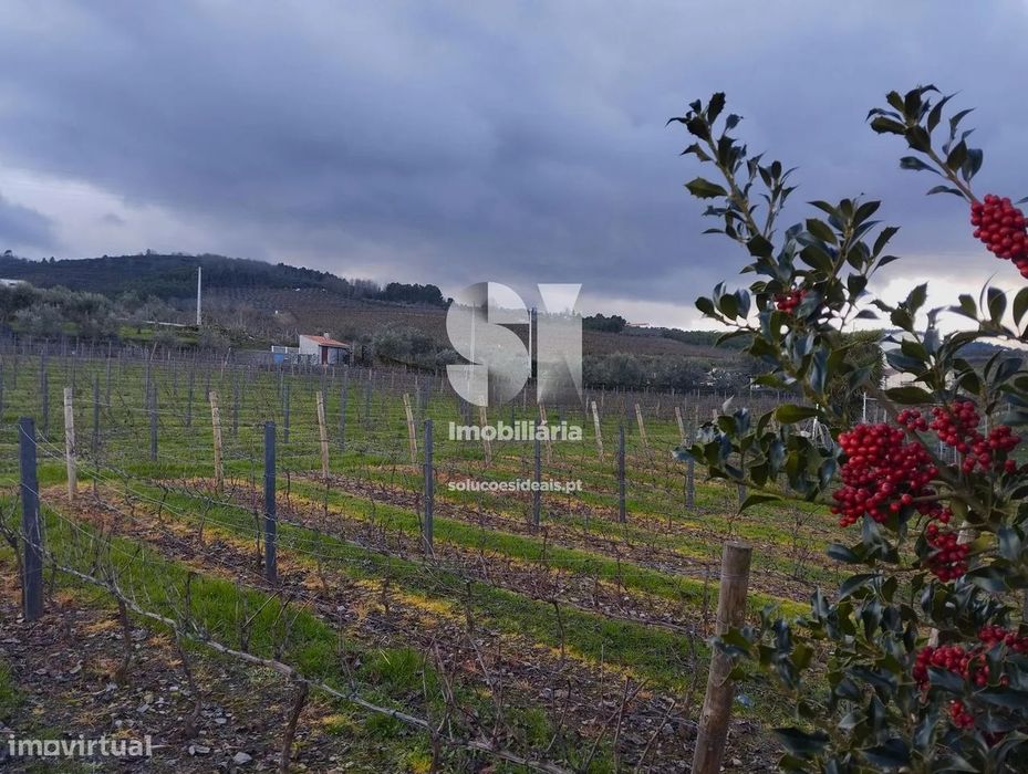 Terreno em Sabrosa — Celeirós, Vila Real