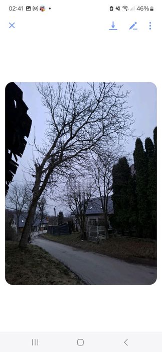 Oddam za darmo drewno