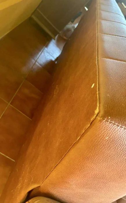 Sofá cama napa castanha