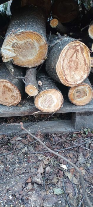 drewno z wiśni do delikatnego wędzenia