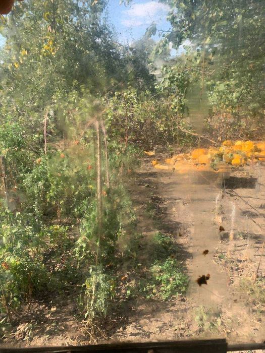 Скло переднє ліве VW Passat B2