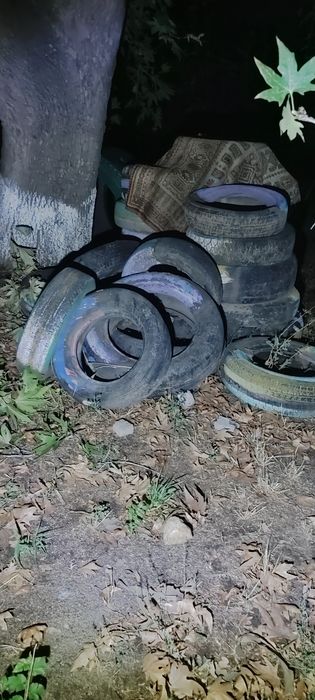 Шины одам бесплатно