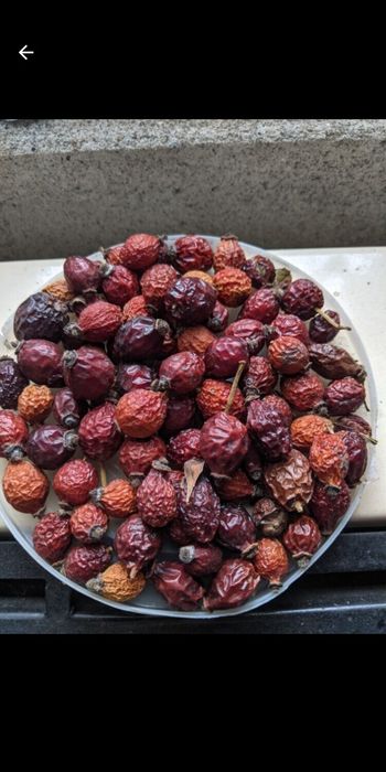 Шипшина, ягоди сухі