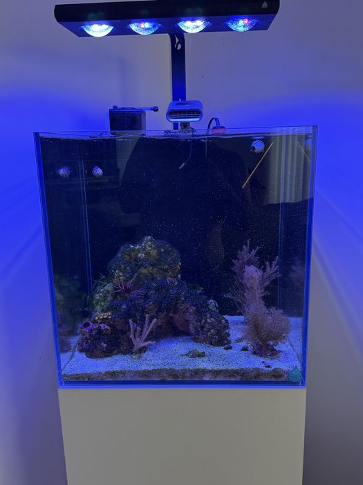 Aquario marinho com movel