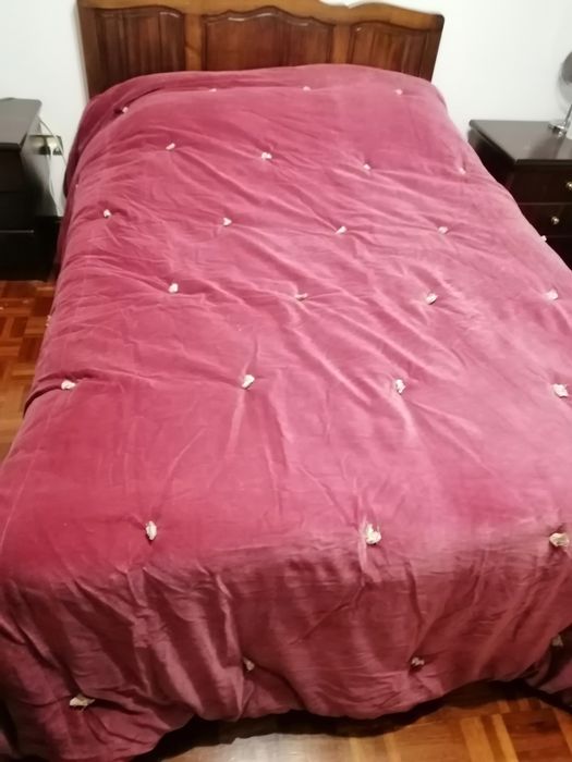 Edredron gato preto novo