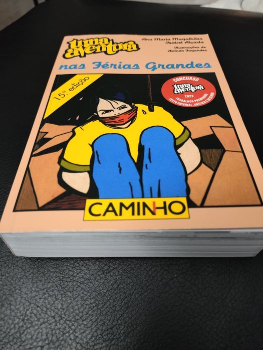 Livro uma aventura nas férias grandes