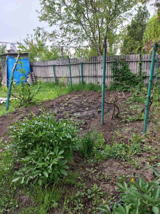 ЦенадоговорнаяПродам Дом в Селе БеленькоеУчасток 15 сотокВСЕ УДОБСТВА