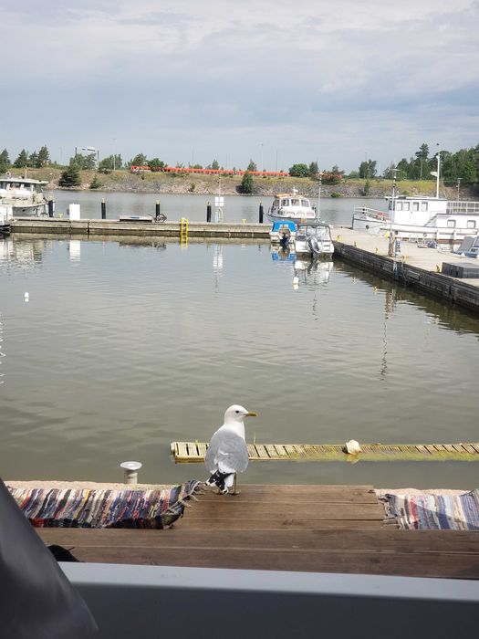 Iveco 2004 35c13 2.8TD contentor