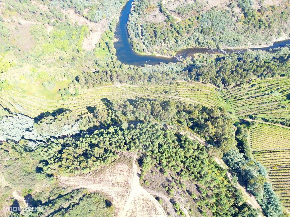 Terreno  para venda