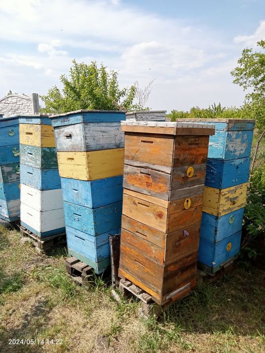 Многокорпусные ульи, рамки 230