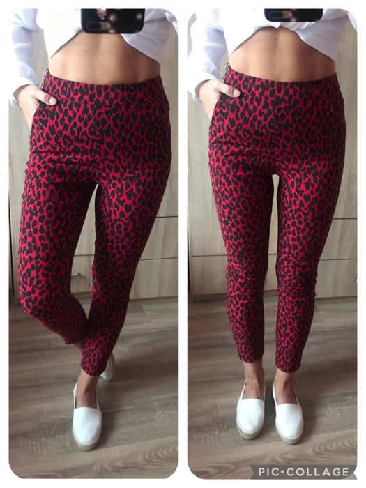Zara spodnie w panterkę legginsy z wysokim stanem panterka S