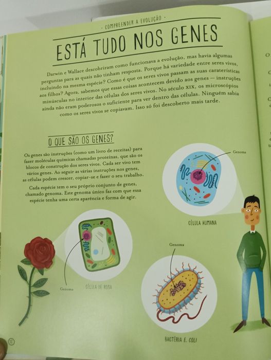 Incrível Evolução - A Viagem da Vida