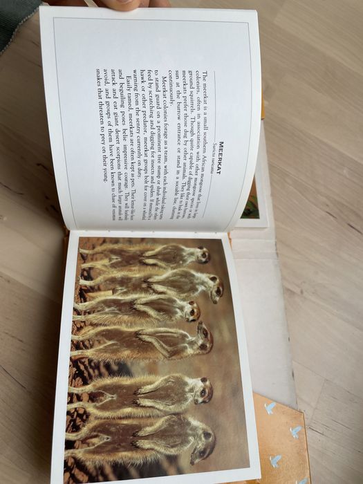 Livro e 15 postais natureza selvagem