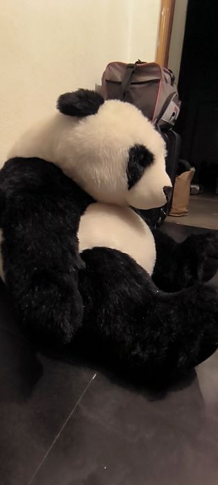 Panda Peluche Grande