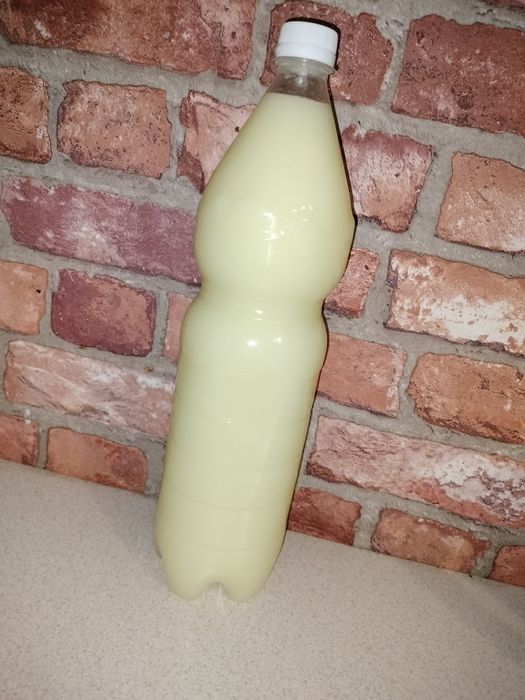 Kozie mleko,twaróg,ser typ koryciński,serowatka kozia