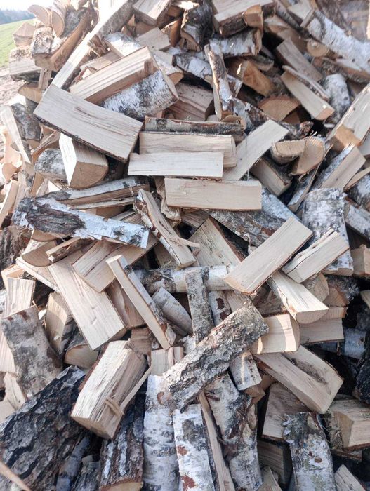 Brzoza Rąbana Nasypowe