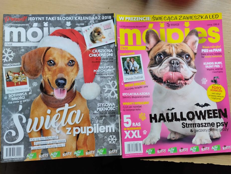 Mój pies i kot 2017