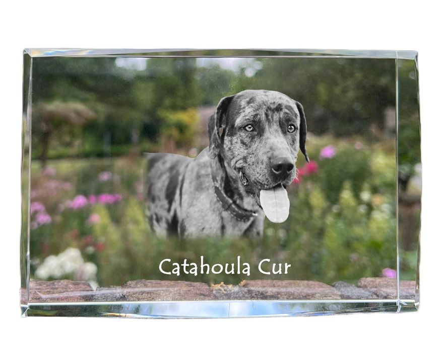 Catahoula Leopard Dog kryształ z psem Art-Dog