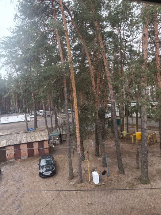 Квартира в хвойному лісі з автономним опаленням і ремонтом , можна по програмі є- відновлення