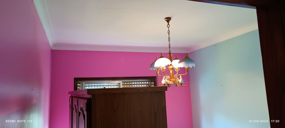 vários serviços pintura acabamos de móveis limpeza de terrenos