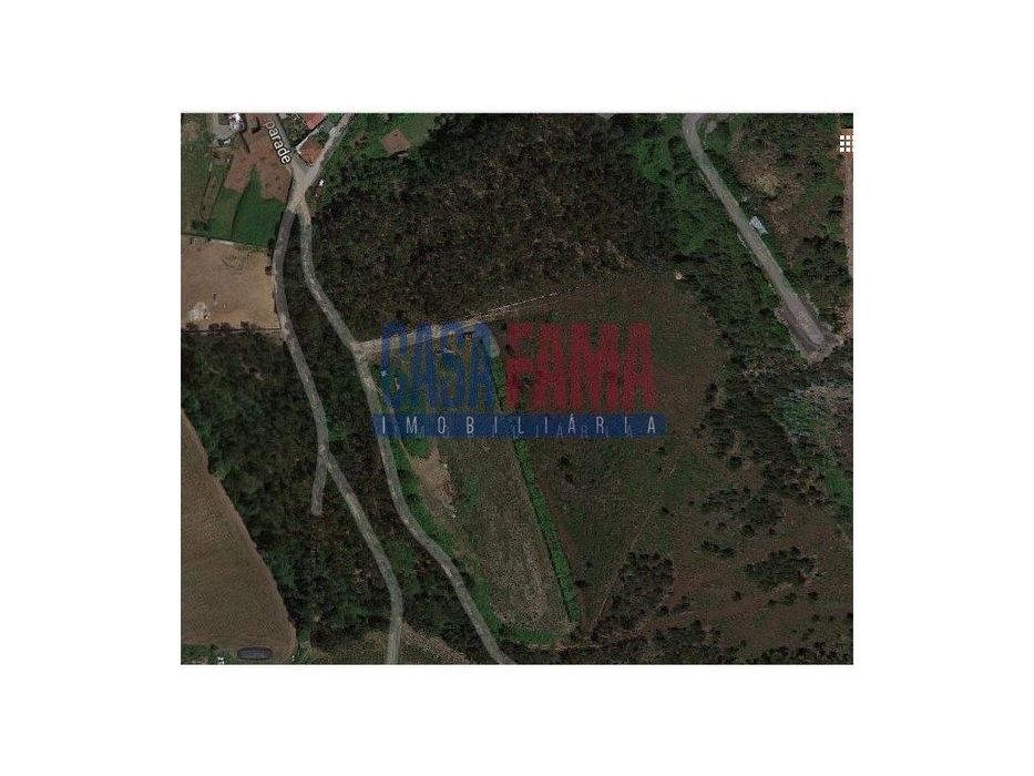 Terreno Agrícola com 3 hectares em Gondifelos - Vila Nova de Famalicão