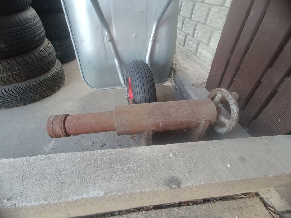 Konik Tokarski Tokarka