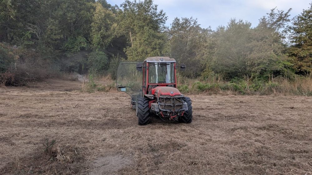 Limpezas de terrenos agrícolas e florestais