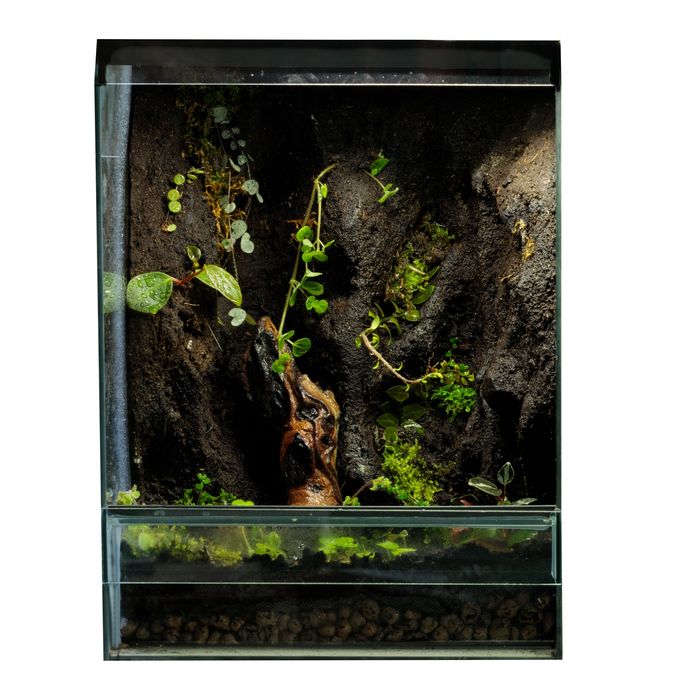 Terrarium tropikalne 40x40x60