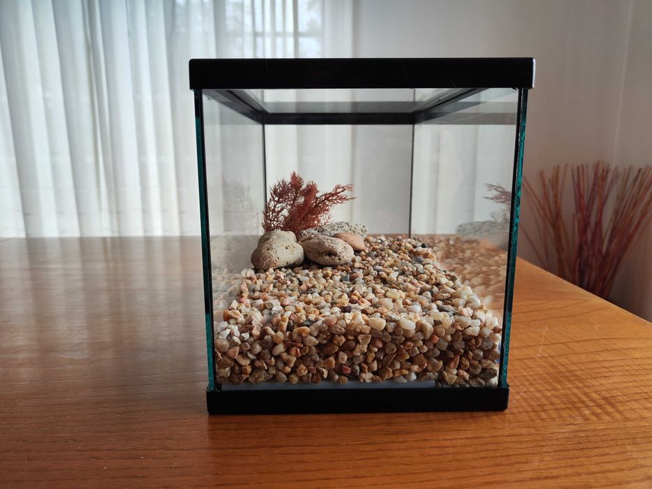 Aquario de 11L com decorações