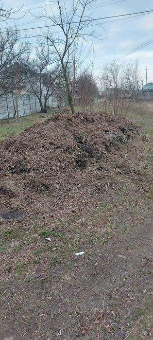 Вивіз любого сміття недорого