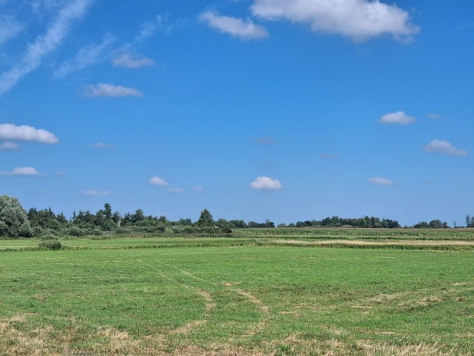 Ziemia rolna Antoniewice