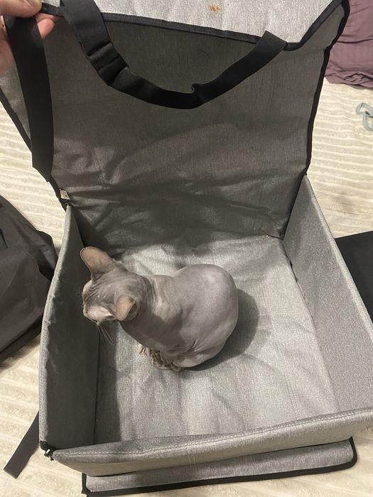Автокрісло. Переноска доя котів та собак