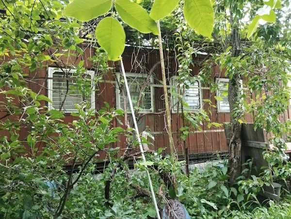 Продаж дачі в Бердичівському районі