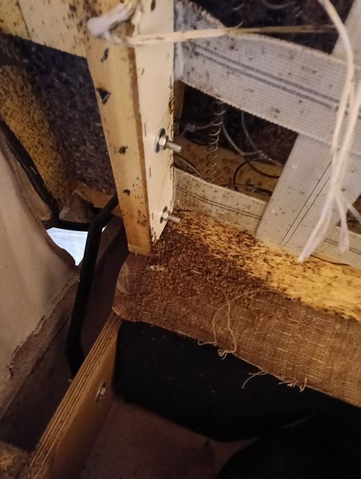 DEZYNSEKCJA  pluskwy karaluchy