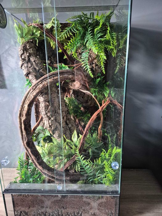 Terrarium 40x40x80