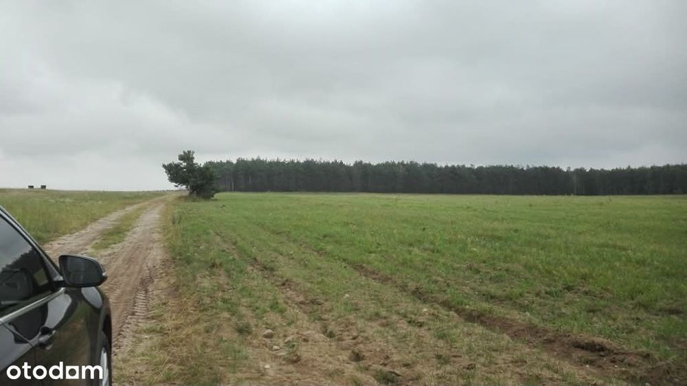 Mazury -Działki całoroczne od 1000m² | 2h od Warszawy