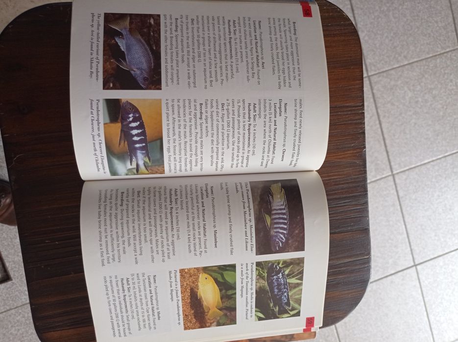 Livro de ciclídeos
