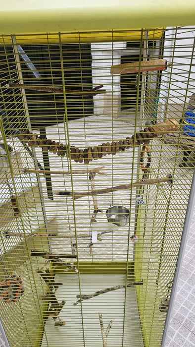 Gaiola pássaeos grande com todos os acessórios