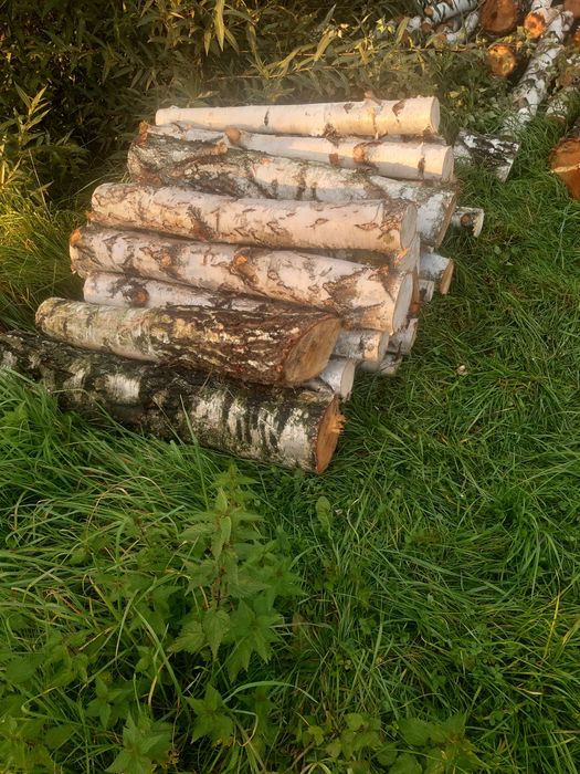 Drewno  opałowe  brzoza