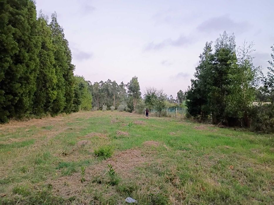 Grande Terreno 2745 M2 - Monte Arcado, Covoes