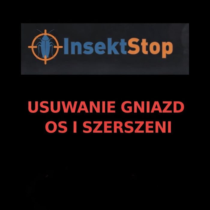 Usuwanie gniazd os i szerszeni Bydgoszcz – bezpiecznie